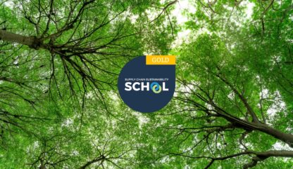 SCSS Group PLC Large