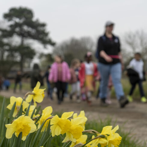 BRCK Group Plc Planet 4