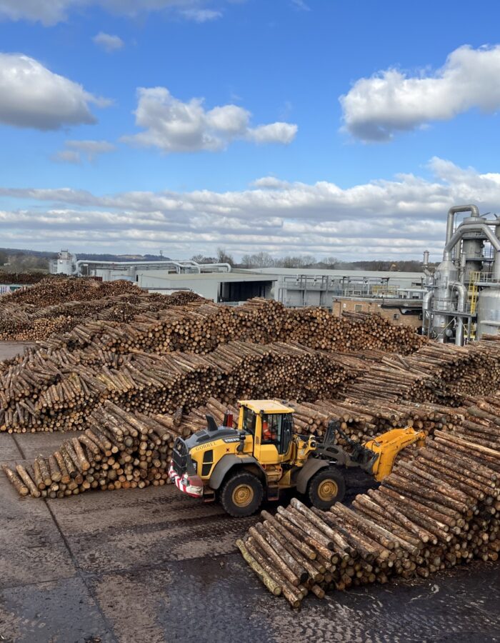 acquisition of taylor maxwell - timber